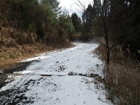 20150104-008.jpg