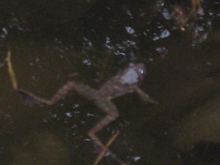 20150106-IMG_1934.jpg