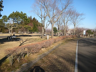 20150108-IMG_1938.jpg