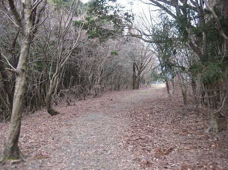 20150114-IMG_1957.jpg