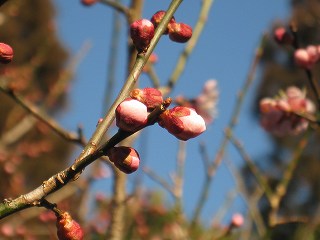 20150213-040.jpg