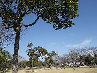 20150305-023.jpg