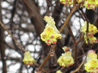 20150307-IMG_2078.jpg