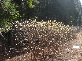 20150314-IMG_2108.jpg