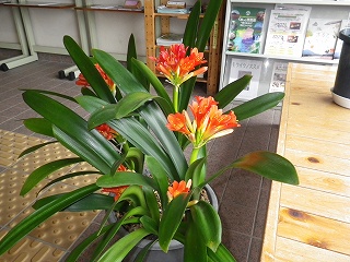 20150315-055.jpg