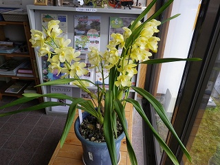 20150315-056.jpg