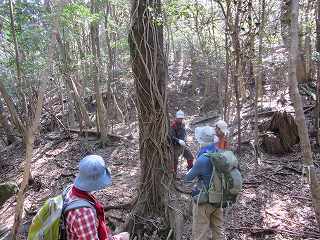20150326-100.jpg