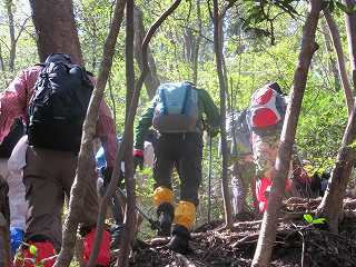 20150326-101.jpg