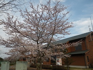 20150330-RIMG1287.jpg