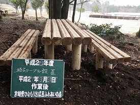 20150331-083.jpg