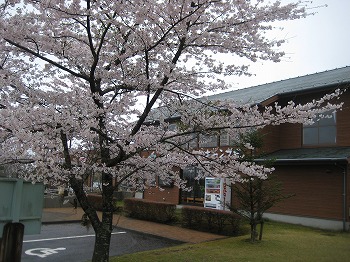 20150401-IMG_2197.jpg