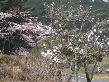 20150401-IMG_2200.jpg