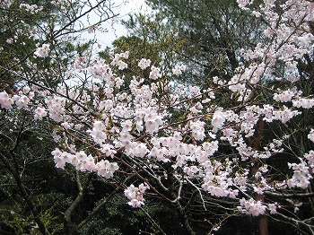 20150401-IMG_2201.jpg