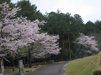 20150401-IMG_2202.jpg