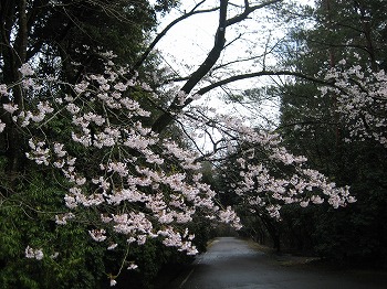 20150401-IMG_2204.jpg