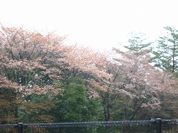 20150401-IMG_2209.jpg