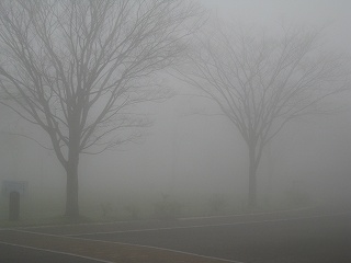 20150408-011.jpg