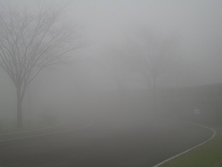 20150408-012.jpg