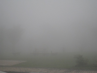 20150408-013.jpg