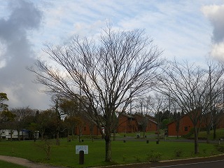 20150413-RIMG1353.jpg