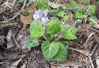 20150424-003.jpg