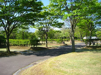 20150427-IMG_2304.jpg