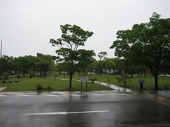 20150509-IMG_2347.jpg