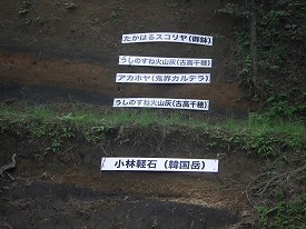 20150521-022.jpg