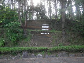 20150521-111.jpg