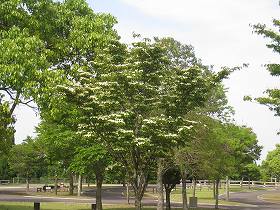 20150522-019.jpg