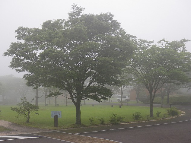 20150620-RIMG1663.jpg