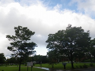20150726-RIMG1850.jpg
