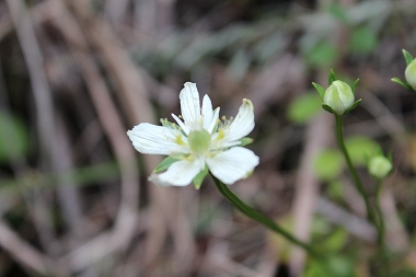 20151006-015.jpg