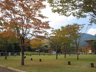 20151016-IMG_2784.jpg