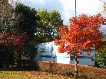 20151111-IMG_2840.jpg