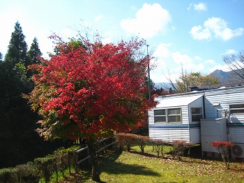 20151111-IMG_2848.jpg