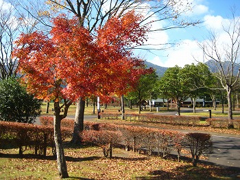 20151111-IMG_2849.jpg