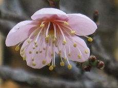 20160109-024.jpg
