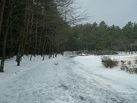 20160119-004-1.jpg
