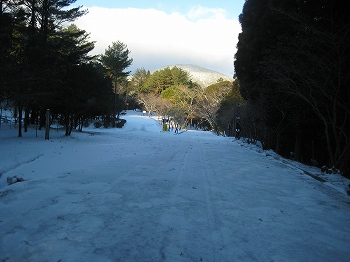 20160120-IMG_0063.jpg