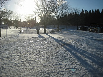 20160120-IMG_0065.jpg