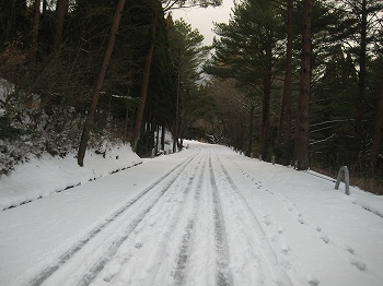 20160126-IMG_0095.jpg