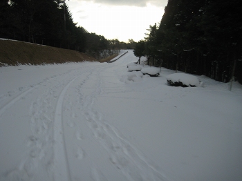 20160126-IMG_0099.jpg
