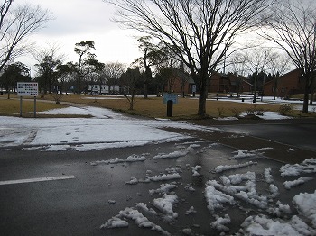20160128-IMG_0101.jpg
