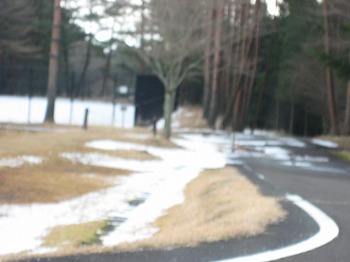20160128-IMG_0103.jpg
