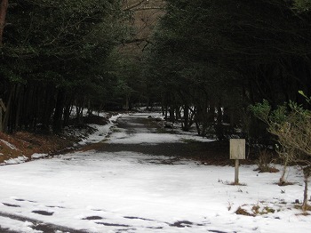 20160128-IMG_0106.jpg