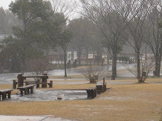 20160129-001.jpg