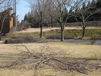 20160209-IMG_0132.jpg