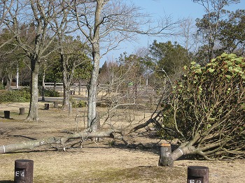 20160209-IMG_0133.jpg