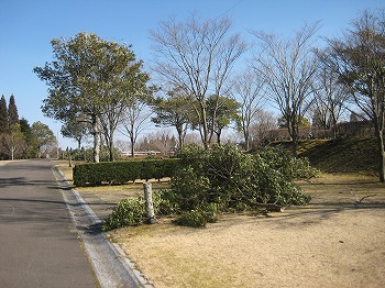 20160209-IMG_0135.jpg